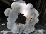 Hand Crafted Cauliflower Live Edge Coffee Table with Epoxy Centre