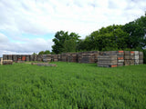 12"x12"x9'9" Reclaimed Douglas Fir Timbers